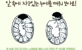 미리준비하는 보람상조라이프플랜 만족감을 한번에!