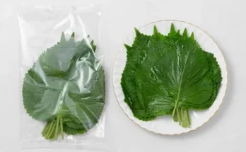 오늘의 힌트 깻잎 왜 이렇게 인기가 많을까요?