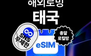 리뷰 속에 힌트 태국esim 특집전