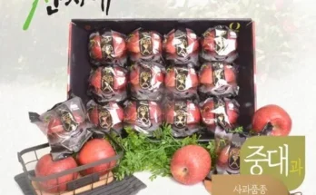 리뷰베스트선정 산지애 사과 5.4kg  연합전
