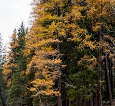 간단뉴스 ​가을에 국내에서 풍경을 즐기기 좋은 여행지는 어디인가요? 바로 소개합니다.