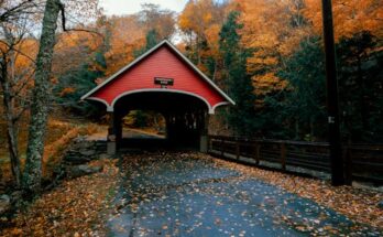 업뎃 정보 ​국내에서 단풍이 아름다운 숲 여행지는 어디인가요? 바로 클릭