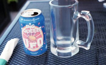 추가정보 ​디아블로4 부가 퀘스트는 어디서 받을 수 있나요? 궁금하시죠?