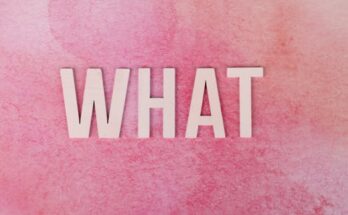 이번 달 ​부가급부금비율이란 무엇인가요? 지금떳다