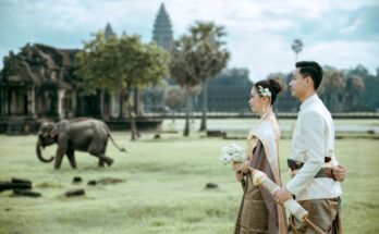 이번 달 ​부가서비스는 어떻게 해지하나요? 바로 소개합니다.