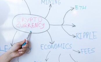 핫 소식 ​빗썸과 업비트의 수수료는 어떻게 되나요? 확인 부탁드립니다