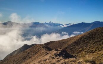 간단뉴스 ​엘지 트롬 건조기의 부가 기능은 무엇인가요? 확인 부탁드립니다