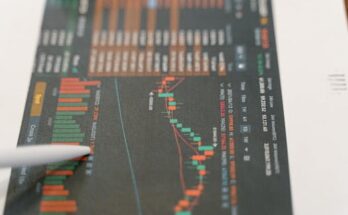 추가정보 ​코인원 중 어느 거래소가 거래량이 가장 높나요? 지금떳다