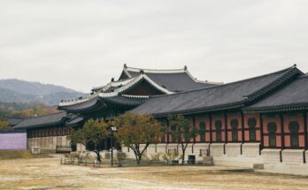 빠르게 확인 하세요! ​한국사람들이 가장 많이 가는 국내 여행지는 어디인가요? 놓치지마세요