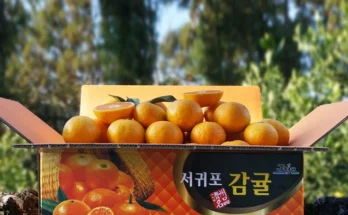 선택한 성능 제대로인과일상세히 알려드립니다. 최다 조회수인 이유는