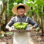 엄마 원픽은 바로 성능 제대로인국산바나나상세히 알려드립니다. 상품 총출동