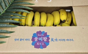 지나치면 후회해요 성능 제대로인낱알바나나13상세히 알려드립니다. ? 너무 좋아