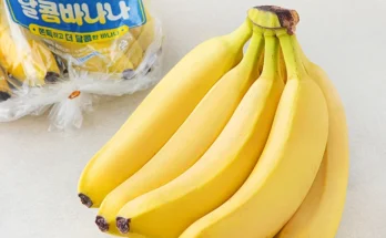 걱정끝 성능 제대로인달콤하고맛있는바나나추천상세히 알려드립니다. 왜 이렇게 인기가