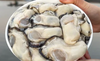 이번 달 최고인기 성능 제대로인[미도파]통영굴100g×18봉상세히 알려드립니다.