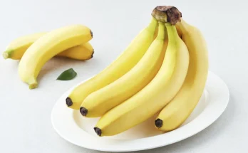 지나치면 후회해요 성능 제대로인바나나구독상세히 알려드립니다. 깜짝 기획전