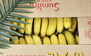 지나치면 후회해요 성능 제대로인바나나낱발13kg상세히 알려드립니다. 특집전 총집합