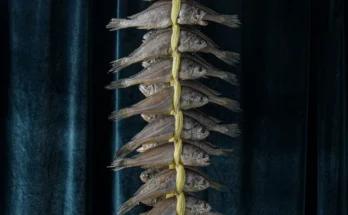 올해 꼭 알아두기 성능 제대로인법성포참맛굴비 특장대 80g×20마리상세히 알려드립니다.