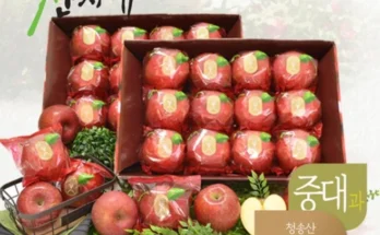 진심을 담은 성능 제대로인산지애 사과 9kg상세히 알려드립니다.