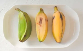 이번 달 최고인기 성능 제대로인삶은바나나상세히 알려드립니다. 최다 조회수인 이유는