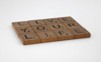 방금 전달받은 ​신혼여행을 가는 이유는 무엇인가요? 확인하시죠