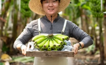 오늘의 특가 성능 제대로인올가닉올바나나상세히 알려드립니다. 모음전