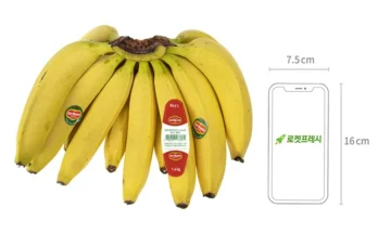 기프트 기획전 성능 제대로인이마트트레이더스바나나상세히 알려드립니다. ! 런칭