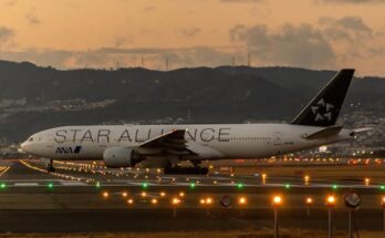 긴급소식 ​일본여행 공항 입국 순서는 어떻게 되나요? 놓치지마세요