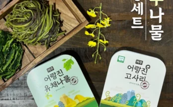 기프트 기획전 성능 제대로인제주나물2종세트 300g 8팩상세히 알려드립니다. 왜 이렇게 인기가