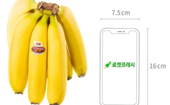 올해도 성능 제대로인허니글로우바나나상세히 알려드립니다. 최다 조회수인 이유는