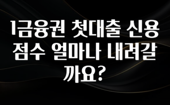 방금 전달받은 1금융권 첫대출 신용점수 얼마나 내려갈까요? 좋은 정보