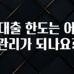 (올해 꼭 확인 소식) 신용대출 한도는 어떻게 관리가 되나요? 확인해보세요