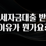 간단뉴스 전세자금대출 받는 이유가 뭔가요? 실시간 리뷰입니다