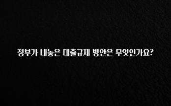 지금 당장 “이거” 확인 정부가 내놓은 대출규제 방안은 무엇인가요? 전합니다