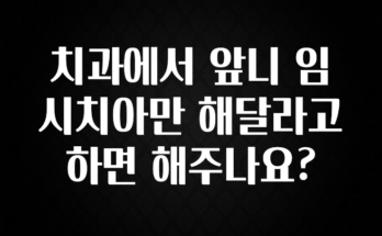 드디어 다음주에 공개 치과에서 앞니 임시치아만 해달라고하면 해주나요? 주목하고 계십니다