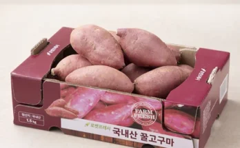 검색량 증가한 고구마 소개합니다