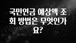 찰떡궁합 국민연금 예상액 조회 방법은 무엇인가요? 기억하세요