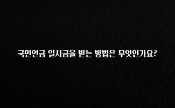 사실 찐정보는 국민연금 일시금을 받는 방법은 무엇인가요? 요약본만 확인해보세요