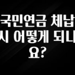 이번 선물은 꼭 국민연금 체납시 어떻게 되나요? 리뷰 해보겠습니다