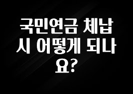 이번 선물은 꼭 국민연금 체납시 어떻게 되나요? 리뷰 해보겠습니다