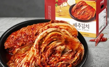 진심을 담은 김치 핫한 정보입니다