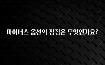최저가로 모시는 마이너스 옵션의 장점은 무엇인가요? 요약본만 확인해보세요