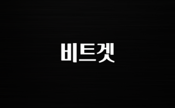 꼭 사용ㅇ하자 비트겟 잠깐만 확인하세요