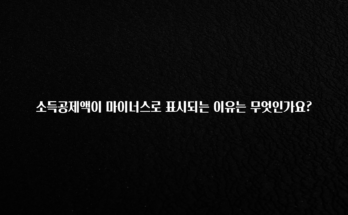 주목 소득공제액이 마이너스로 표시되는 이유는 무엇인가요? 리뷰가 많습니다