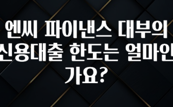 사계절 사랑받는 엔씨 파이낸스 대부의 신용대출 한도는 얼마인가요? 확인 부탁드립니다