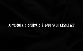 지금 당장 “이거” 확인 지적장애2급 장애연금 한달에 얼마 나오나요? 전합니다