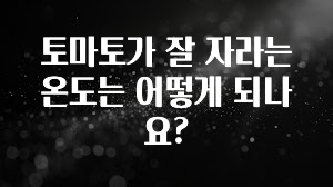 인기좋은 이유 토마토가 잘 자라는 온도는 어떻게 되나요? 한 번에 알려드립니다