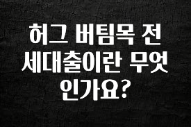 추가정보 떳다 허그 버팀목 전세대출이란 무엇인가요? 실사용 후기