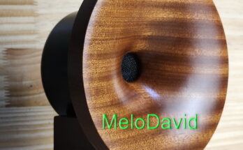 합리적인 가격 MeloDavid 2025 새로운 Ver 98db 추가 고주파수 목재 혼 트위터 + 목재 지지대 2개 쌍 30초면 확인 가능합니다