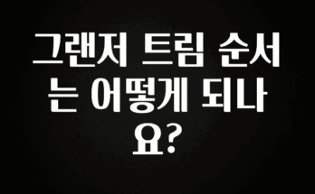 인플루언서가 공개한 그랜저 트림 순서는 어떻게 되나요? 아주 좋은 정보입니다