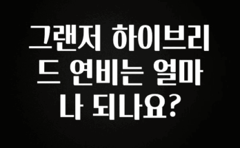 특별한 이유 그랜저 하이브리드 연비는 얼마나 되나요? 무조건 확인